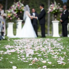 80 Cups - Freeze Dried Rose Petals ($40 off)